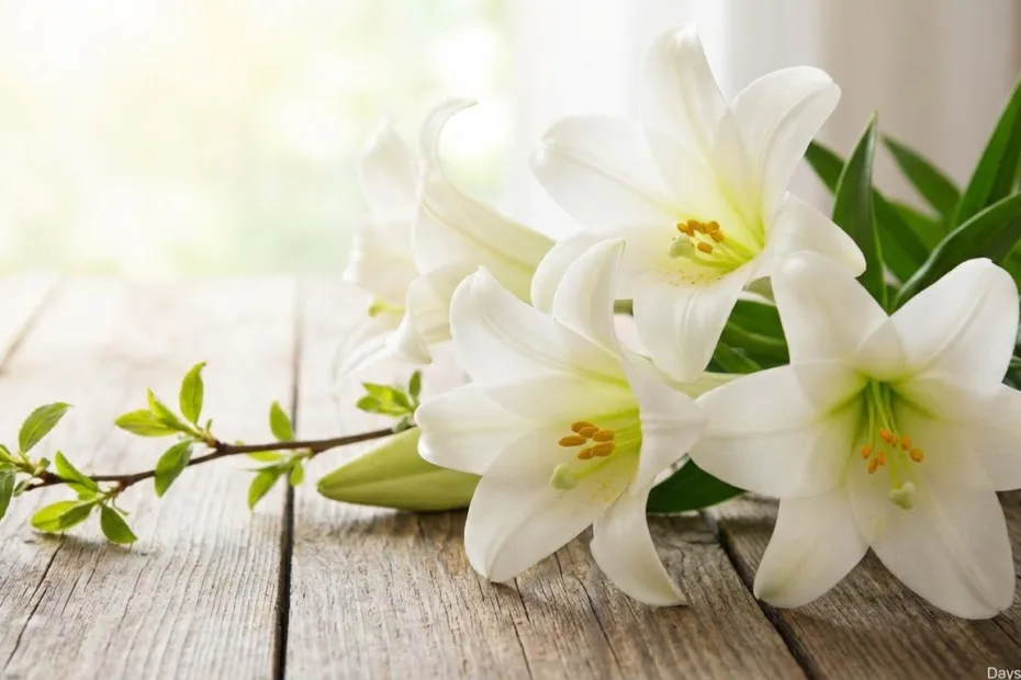 How many days until Lent ends marked calendar countdown